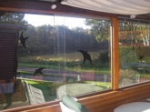 Blick von der Terrasse