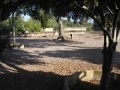 Parcela