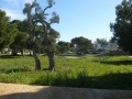 zona verde