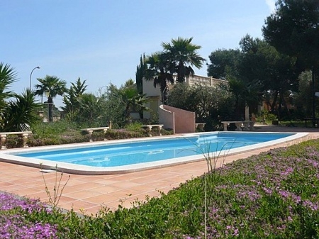 Piscina y Chalet