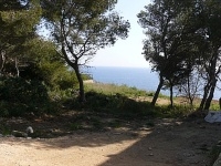 Baugrundst�ck in 1. Meereslinie in Cala Pi