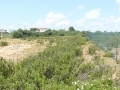 Vista Solar