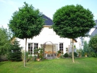 Individuelles Einfamilienhaus mit  ansprechender Architektur und herrlicher Aussicht