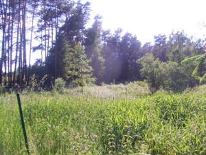 Grundst�ck