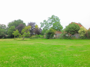 Blick auf Nachbargrundst�ck