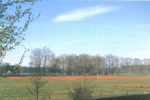Blick �ber Wiese