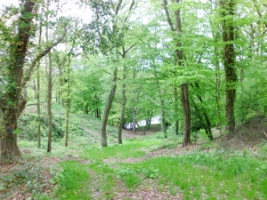 Grundst�ck