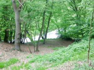 Grundst�ck