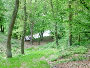 Grundst�ck
