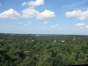 Weitblick über Buchholz