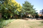 Blick in den Garten 1