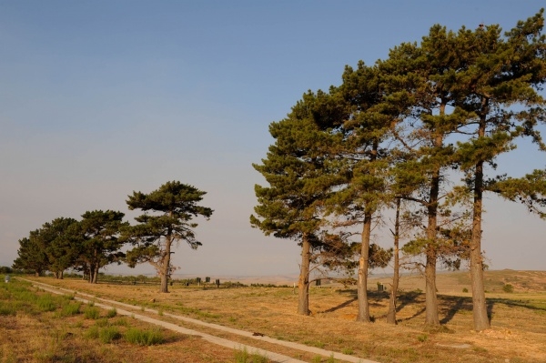 South-Africa/Maremmana Resort! Paddock Sites or Court Sites!
