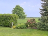 Garten/ Umfeld
