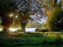 Seeblick