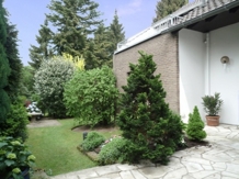 Gartendetail IV