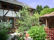 Innehof II