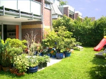 Teilans. eigener Garten