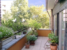 Terrassenansicht 1