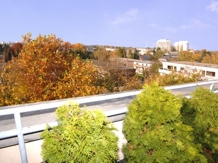 1. Teilans. Dachterrasse