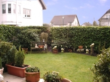 Winter-Garten ohne Schnee