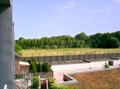 Blick-vom-Freisitz